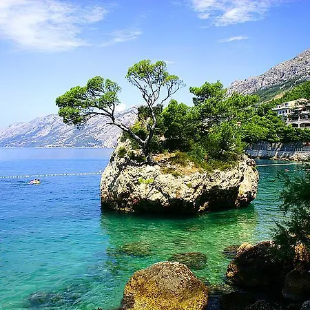 Апартаменты Danica *