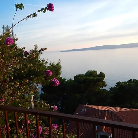 Апартаменты Danica Брела